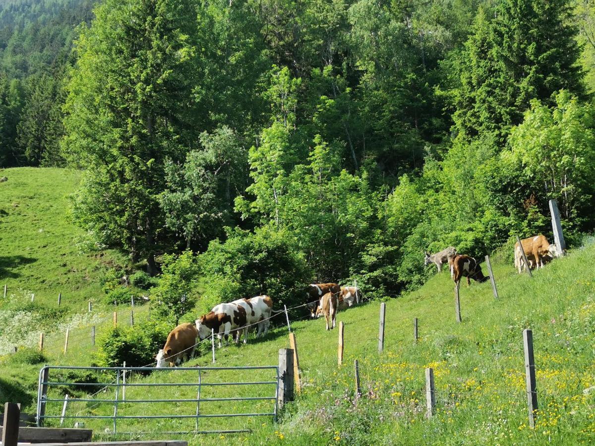 Bauernhof Bethuber Matrei in Osttirol Exterior foto
